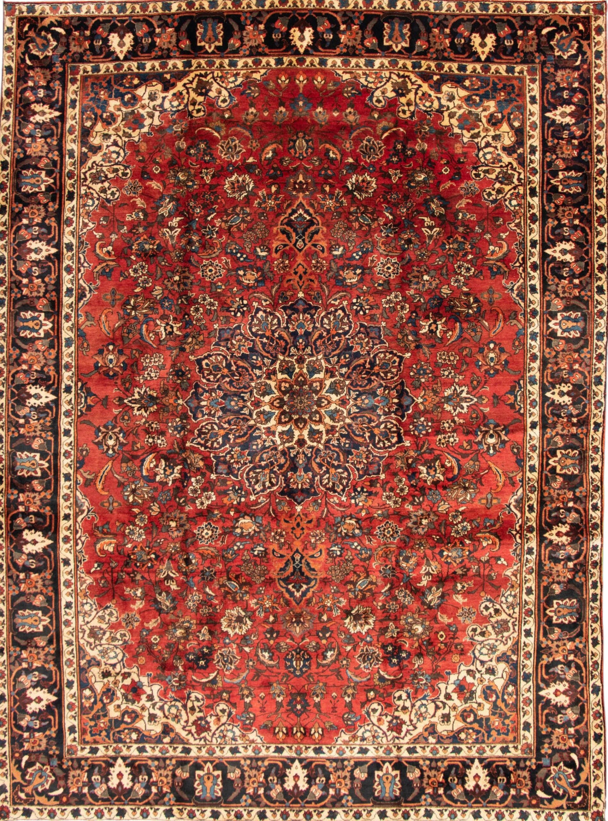 Hand Knotted Wool Rugs